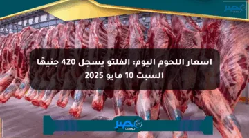 أسعار اللحوم اليوم: الفلتو يسجل 420 جنيهًا السبت 10 مايو 2025